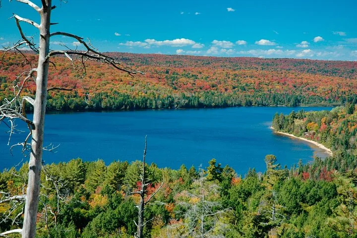 Scenic view of a blue lake surrounded by autumn forest