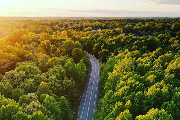 Veduta aerea di un'auto che percorre una strada circondata da una lussureggiante foresta verde