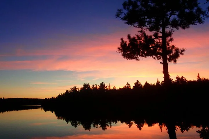 Silhouette von Bäumen vor einem farbenfrohen Abendhimmel, der sich in einem See spiegelt.