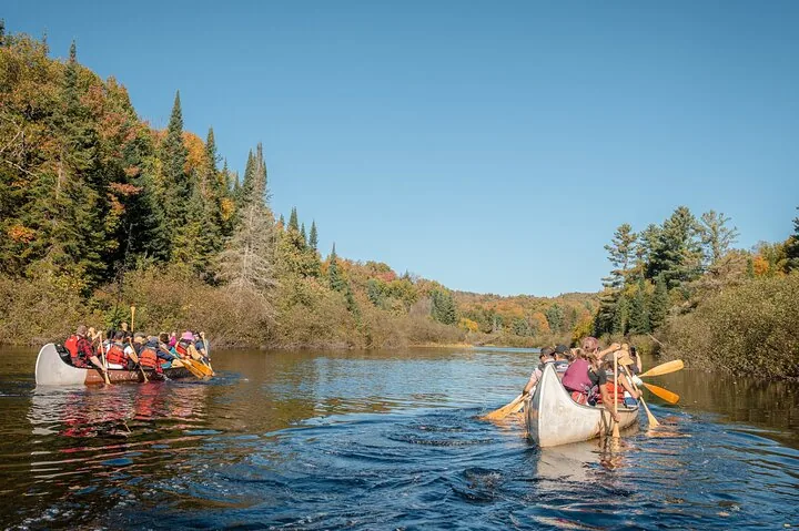 Due grandi canoe con diverse persone a bordo che scendono un fiume costeggiato da alberi.